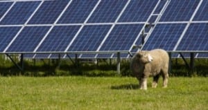 NSW government to buy solar power to boost solar plant prospects