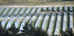 Asset manager Blueshore takes on 20MW Royalla solar farm in ACT