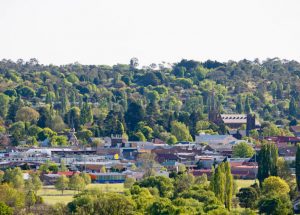 Community solar with a view: Why sharing may be future of energy