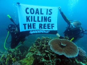 Coal? What coal? Reef doing great, say ministers