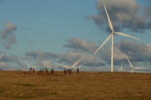 Graph of the Day: Australia’s best performing wind farms in August