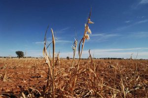 Risk to return: investors focus on climate-proofing Australia