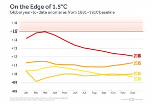 2016 officially declared hottest year on record