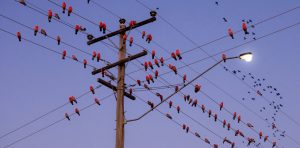 2017 will be a big year for Australia’s energy system: here’s what to look out for