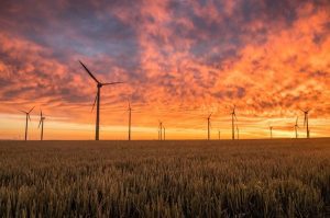 Three renewable energy auctions to look out for