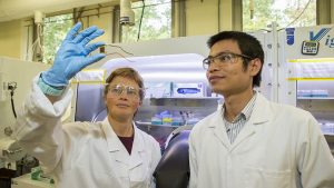ANU develops 26.4 per cent efficient cell using perovskites