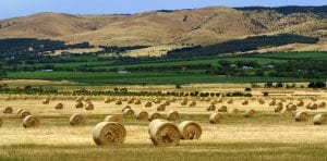 Biomass power plan to bridge gap between farmers and miners