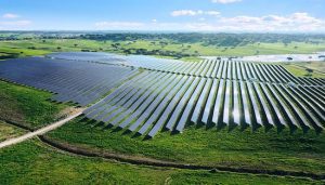 Neoen may expand Vic solar farm to 126MW after tram tender win