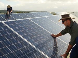 Solar garden bears fruit for NSW community housing tenants