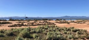 South Australia leads again as saltwater pumped hydro storage takes shape