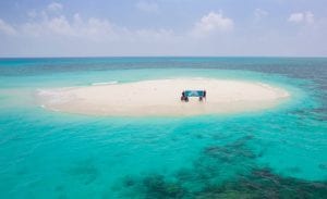 Peter Garrett: Back on centre stage to fight Adani, push for 100% renewables