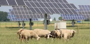 Germany lifts 2030 renewable energy target to 65%