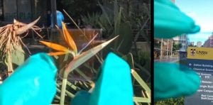 Semitransparent solar cells: a window to the future?