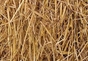 $476,000 grant to fast-track Australia’s first straw- fuelled power plant