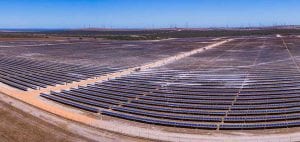 W.A.’s largest solar farm – Emu Downs – opens for business