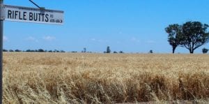 New 40MW wind farm approved in western Victoria