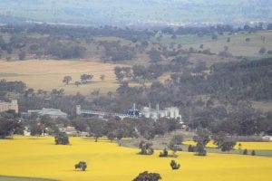 Canola oil processing to be powered with bioenergy