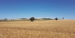 The clock is ticking on net-zero, and Australia’s farmers must not get a free pass
