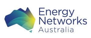 New energy networks Australia chair appointed