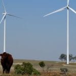 sapphire wind farm pic canberra