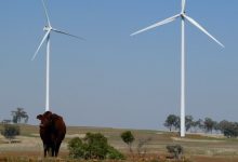 sapphire wind farm pic canberra