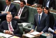 angus taylor