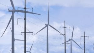 Coalition energy policy void could reverse wind and solar price gains