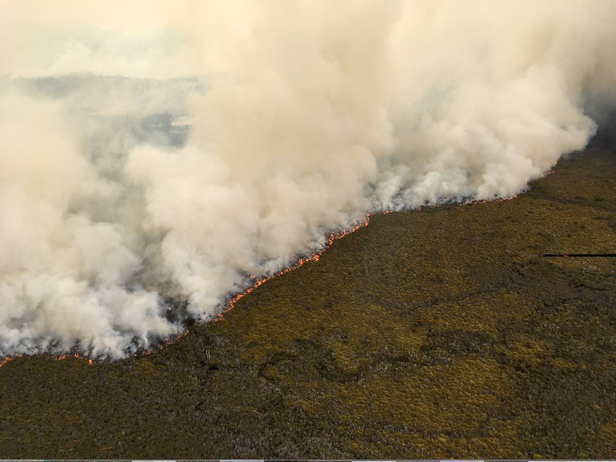 Australians fear extinction and drought, food, water problems from climate change - RenewEconomy