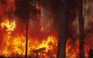 Morrison refuses to discuss climate change as Tasmania burns, Townsville floods