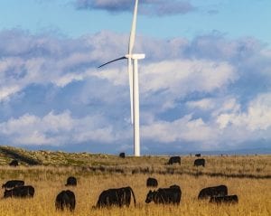 Mt Gellibrand wind farm to help power Geelong refinery