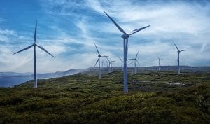 W.A. councils demand “true to science” 50% renewable state target