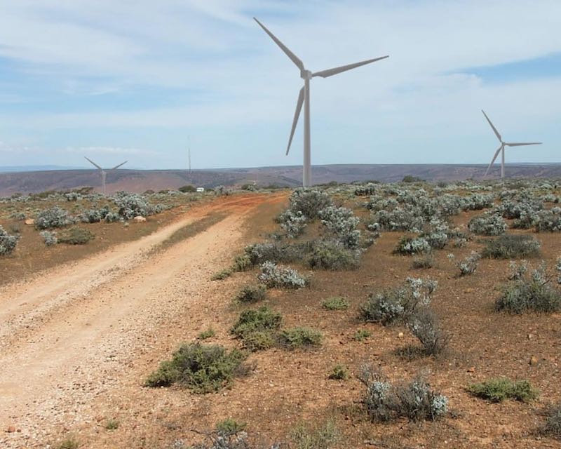 Nexif joins growing list of investors quitting Australian renewables - Vimarsana News