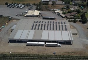 Victorian fruit farmer slashes power costs by $62k a year with solar