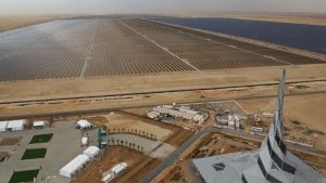 Why the new “solar superpowers” are likely to be the Gulf petro-states