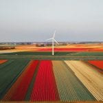 wind farm netherlands