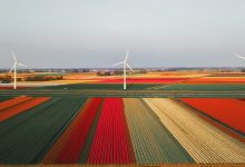 wind farm netherlands