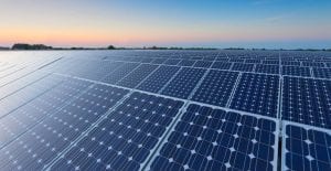 Beryl solar farm reaches full output after single month of commissioning
