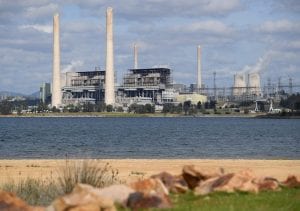Angus Taylor’s Liddell taskforce slammed as guise for propping up coal