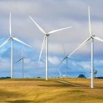 pipeline bango wind farm Wind turbines creating renewable energy on cattle farm - optimised