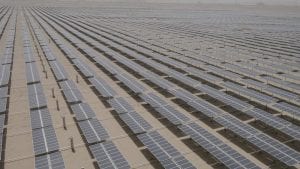 Trina shifts focus to Australia’s big solar market, grid delays and all