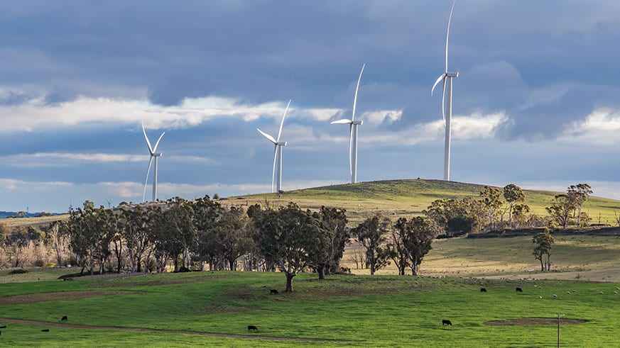 Hawkesdale wind farm heads to court as locals vow to fight "this monster" - Vimarsana News