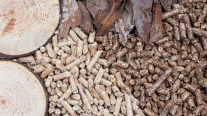 ARENA calls for input into roadmap to kick-start Australia’s bioenergy sector