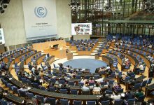 ENB IISD Bonn UNFCCC climate talks