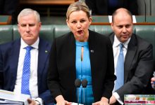 environment minister sussan ley - optimised