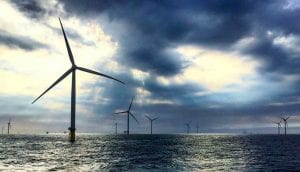 Australia’s biggest offshore wind project names new CEO