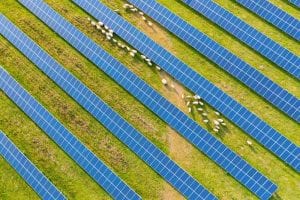 Western Australia set to decide on 180MW solar farm for state’s south west