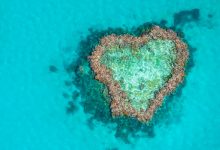 Beautiful Heart Reef in the Great Barrier Reef Australia - optimised