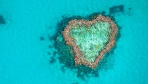 Queensland farmers to be paid “reef credits” to reduce coral-killing pollutants