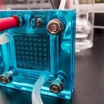 Hydrogen fuel cell unsw science research 2 - optimised