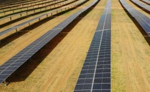 Victorian wind and solar investment headed for “devastating” lull, report warns